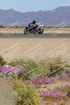 media/Mar-12-2023-SoCal Trackdays (Sun) [[d4c8249724]]/Turn 15 Inside Bloom (130pm)/